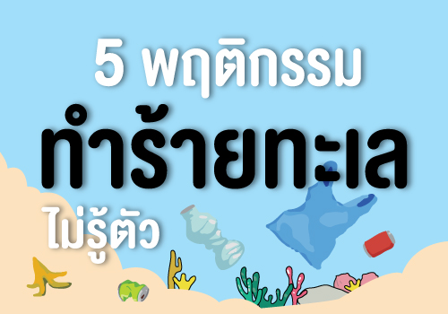 5 พฤติกรรมทำร้ายทะเลไม่รู้ตัว