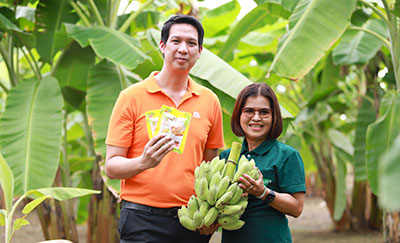 เซเว่นฯ จับมือผู้ประกอบการ หนุนวิสาหกิจชุมชน ส่องโมเดล “กลุ่มวิสาหกิจชุมชนบ้านแคว” ส่ง “กล้วยหนึบ” วางจำหน่ายทั่วประเทศ